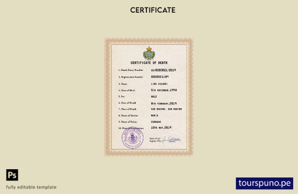 listo para imprimir plantilla PSD de certificado de defunción de registro civi 6